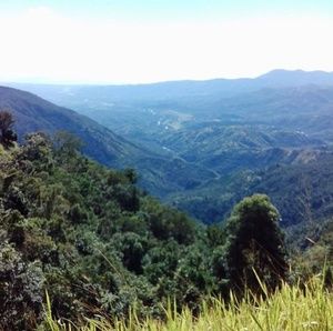 Meet your Posher, Lawrence